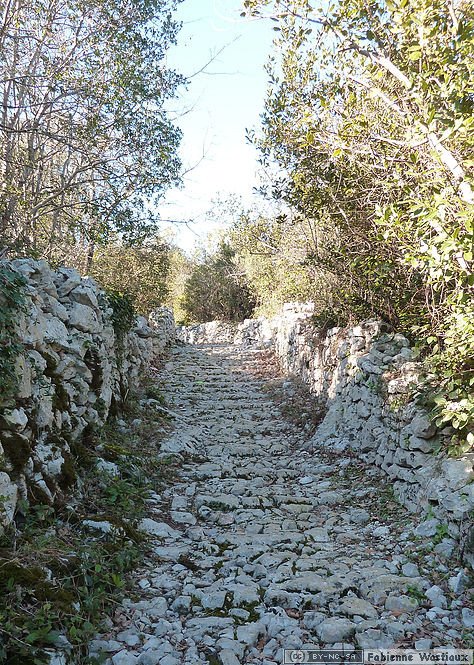 Photo de chemin de pierre